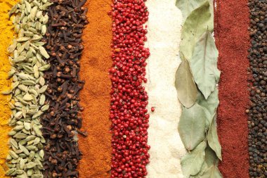 Arka plan olarak birçok farklı baharat, üst görünüm