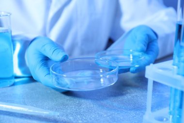 Masada Petri kabı olan bilim adamı, yakın plan.