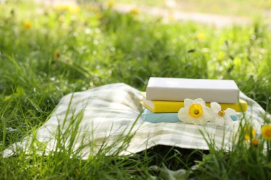 Yığılmış kitaplar, nergis çiçekleri ve açık havada yeşil çimenler üzerinde battaniye.