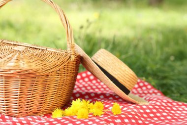 Hasır sepet, karahindiba çiçekleri, hasır şapka ve yeşil çimlerin üzerinde battaniye.