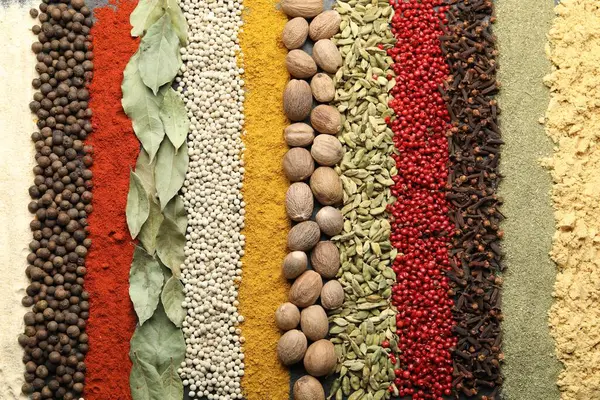 Arka plan olarak birçok farklı baharat, üst görünüm