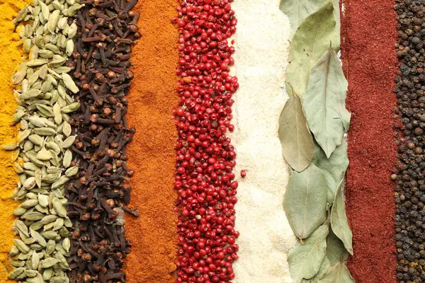 Arka plan olarak birçok farklı baharat, üst görünüm