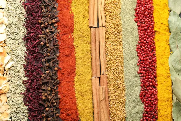 Arka plan olarak birçok farklı baharat, üst görünüm