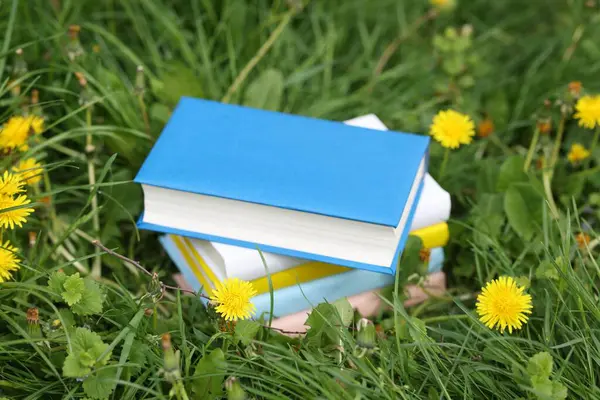 Yeşil çimlerin üzerine yığılmış kitaplar, yakın plan.