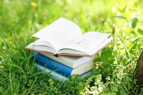 Yeşil çimenler üzerine farklı istiflenmiş kitaplar.
