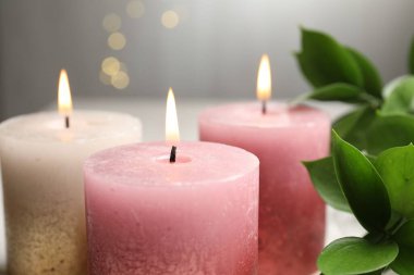 Masada yanan mumlar ve yeşil yapraklar bulanık ışıklara karşı, yakın çekim