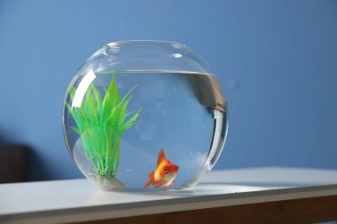 Yuvarlak akvaryumdaki güzel akvaryumdaki balıklar beyaz masa içinde.