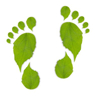 Beyaz arka planda yeşil yapraklardan yapılmış insan ayak izleri. Çevre bakımı, ekoloji koruması, CO2 emisyonunun azaltılması