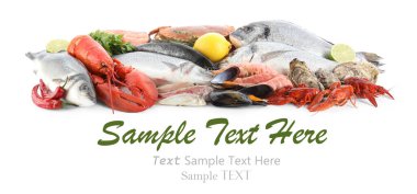 Beyaz arka planda farklı deniz ürünleri. Metin için alanı olan pankart tasarımı