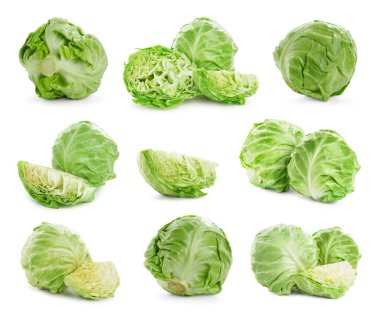 Beyaz arka planda taze lahana, kolaj