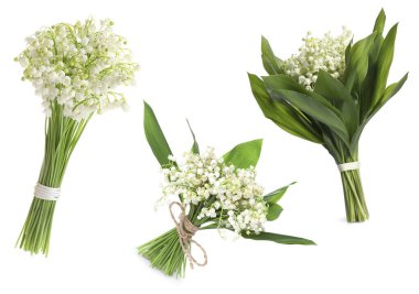 Beyaz çiçekli vadi zambakları, kolaj.