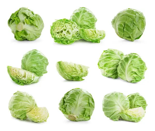 Beyaz arka planda taze lahana, kolaj