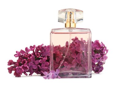 Bir şişe lüks parfüm ve beyaza ayrılmış leylak çiçekleri.