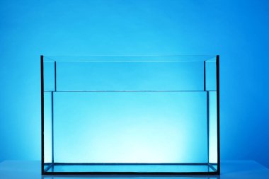 Açık mavi zemin üzerinde su bulunan cam akvaryum