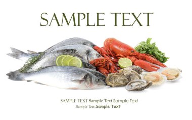 Beyaz arka planda farklı deniz ürünleri. Metin için alanı olan tasarım