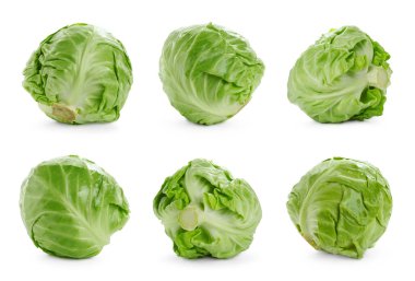 Beyaz arka planda taze lahana, kolaj