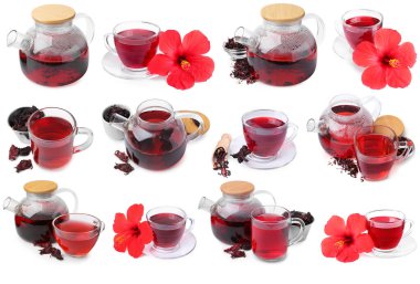 Hibiscus çayı, taze çiçekler ve kurutulmuş kalibreler beyaz sette izole edilmiş.