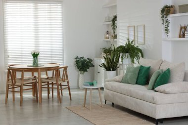 Rahat bir kanepe, masa, sandalyeler ve yeşil ev bitkileri. İç tasarım