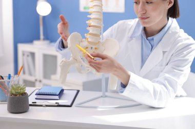 Doktor, klinikteki masadaki insan omurga modeline işaret ediyor.