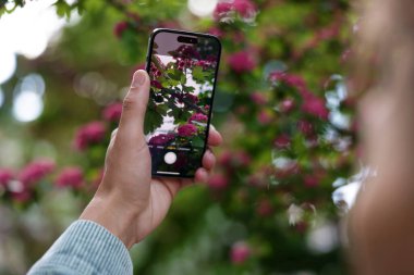 Adam akıllı telefonunda bitki tanıma uygulaması kullanıyor, yakın plan.
