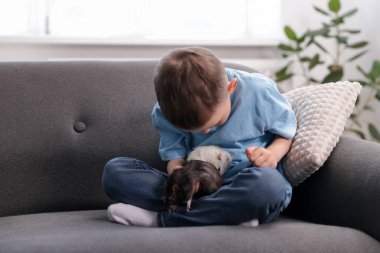 Evdeki kanepesinde fareleri olan küçük bir çocuk.