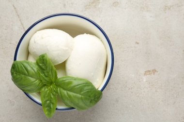 Işık masasında mozzarella peyniri ve fesleğen. Metin için boşluk