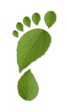 Beyaz arka planda yeşil yapraklardan yapılmış insan ayak izleri, üst manzara. Çevre bakımı, ekoloji koruması, CO2 emisyonunun azaltılması