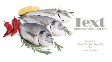 Deniz ürünleri. Dorado balığı ve ürünleri beyaz arka planda. Metin için alanı olan pankart tasarımı