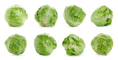 Beyaz arka planda taze lahana, kolaj