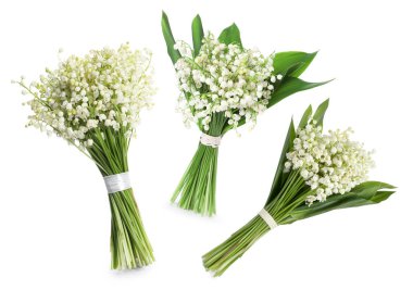 Beyaz çiçekli vadi zambakları, kolaj.