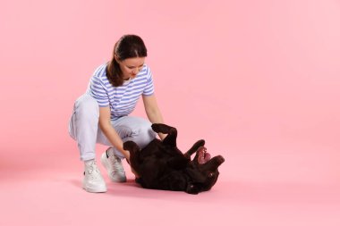 Hayvan eğitimi. Pembe arka planda sevimli köpeği olan bir kadın, mesaj için yer var.