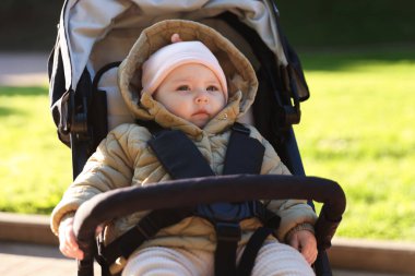 Parktaki bebek arabasında şirin bir bebek.