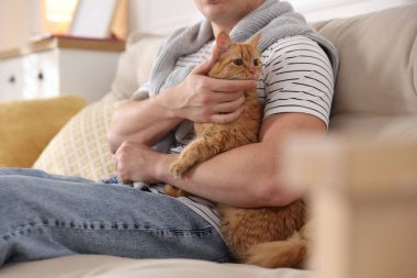 Evdeki kanepede sevimli kızıl kedili adam, yakın plan.