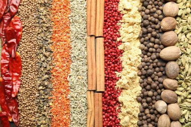 Arka plan olarak birçok farklı baharat, üst görünüm