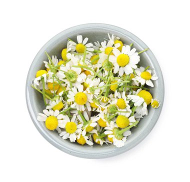 Güzel papatya çiçekleri beyaz kasede izole, üst manzara