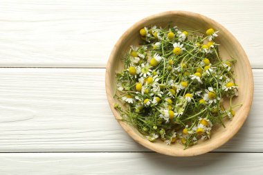 Beyaz ahşap masada, kasede taze papatya çiçekleri, üst manzara. Metin için boşluk