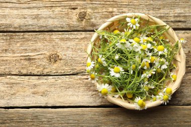 Tahta masadaki hasır sepetin içinde taze papatya çiçekleri. Metin için boşluk