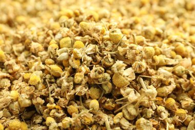 Arka plan olarak papatya çiçeklerini kurut, yakın görüntü