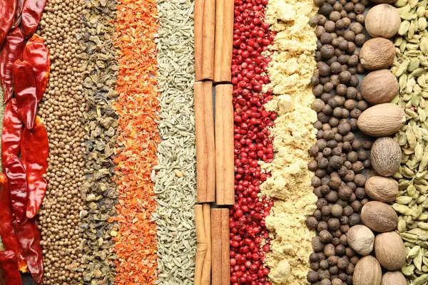 Arka plan olarak birçok farklı baharat, üst görünüm