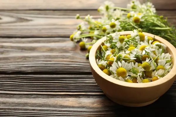 Tahta masadaki kasede taze papatya çiçekleri, yakın plan. Metin için boşluk