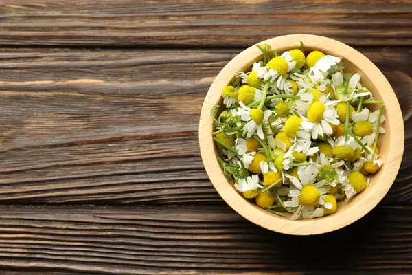 Tahta masadaki kasede taze papatya çiçekleri, üst manzara. Metin için boşluk