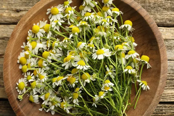 Tahta masadaki kasede taze papatya çiçekleri.