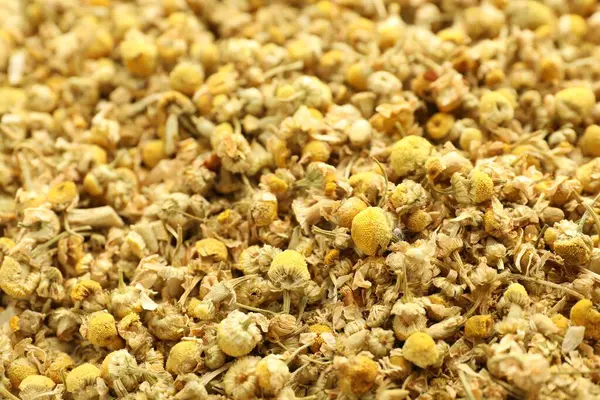 Arka plan olarak papatya çiçeklerini kurut, yakın görüntü