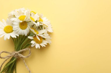 Sarı arka planda bir buket papatya çiçeği, üst manzara. Metin için boşluk