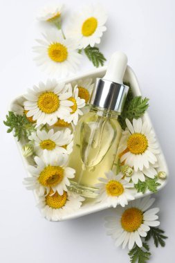 Beyaz arka planda bir şişe temel yağ ve papatya çiçeği.