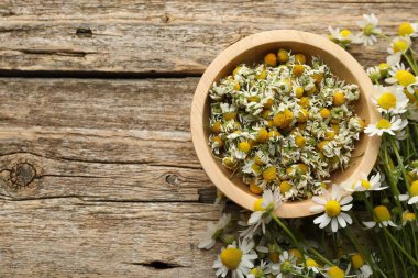 Kasede papatyalar ve tahta masada taze çiçekler, üst manzara. Metin için boşluk
