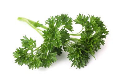 Beyaz maydanozlu taze maydanoz.