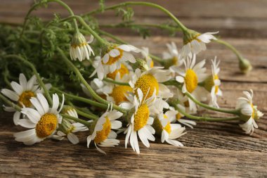 Güzel papatya çiçekleri ahşap masada, yakın plan