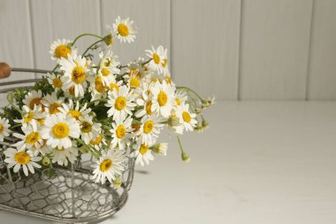 Güzel papatya çiçekleri beyaz masada metal sepetin içinde, yakın plan. Metin için boşluk