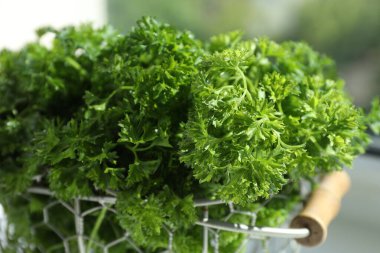 Pencerenin yanındaki sepette taze maydanoz, yakın plan.